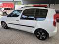 Skoda Roomster 1.2 TSI Active Weiß - thumbnail 5