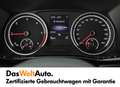 Volkswagen T6.1 Multivan VW T6.1 T6.1 Multivan Trendline TDI 4MOTION Szary - thumbnail 12