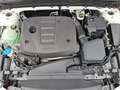 Volvo XC40 D4 AWD R-Design Weiß - thumbnail 20