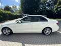 Mercedes-Benz C 220 C -Klasse Lim. CDI BlueEfficiency/ TÜV NEU Blanc - thumbnail 2