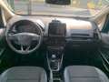 Ford EcoSport 1.0 EcoBoost 100 CV Plus Blu/Azzurro - thumbnail 11