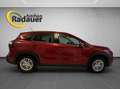 Suzuki S-Cross 1,4 DITC Hybrid shine Rot - thumbnail 6