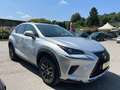 Lexus NX 300 Hybrid Business Argent - thumbnail 6