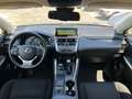 Lexus NX 300 Hybrid Business Argent - thumbnail 11