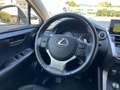 Lexus NX 300 Hybrid Business Argent - thumbnail 15
