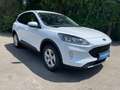 Ford Kuga 2,5 Duratec PHEV Cool & Connect Aut. Weiß - thumbnail 7