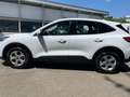 Ford Kuga 2,5 Duratec PHEV Cool & Connect Aut. Weiß - thumbnail 3