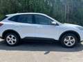 Ford Kuga 2,5 Duratec PHEV Cool & Connect Aut. Weiß - thumbnail 8