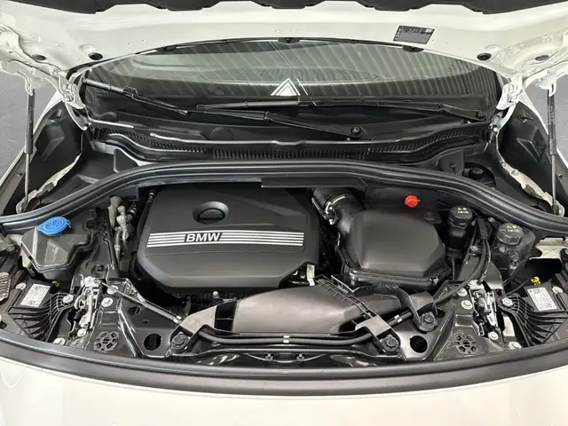BMW 2 Series view 14