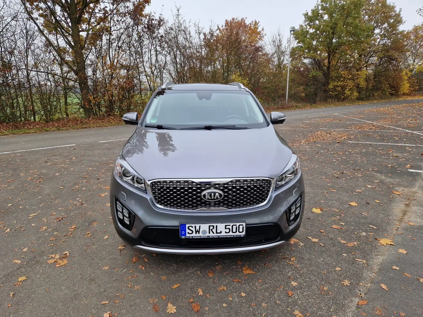 Kia Sorento 2.2 CRDi AWD Aut. Platinum Edition - 2