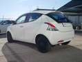 Lancia Ypsilon 1.2 Silver 69cv Bianco - thumbnail 6