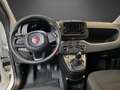 Fiat Panda Hybrid *KLIMA*PARKSENSOREN* Weiß - thumbnail 8