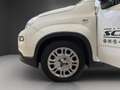 Fiat Panda Hybrid *KLIMA*PARKSENSOREN* Weiß - thumbnail 12