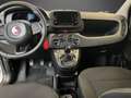 Fiat Panda Hybrid *KLIMA*PARKSENSOREN* Weiß - thumbnail 9