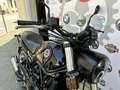 Benelli Leoncino 500 Trail - thumbnail 9