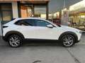 Mazda CX-30 2.0 m-hybrid Executive 2wd 122cv 6mt Weiß - thumbnail 9