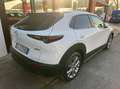 Mazda CX-30 2.0 m-hybrid Executive 2wd 122cv 6mt Weiß - thumbnail 10