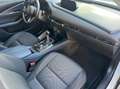 Mazda CX-30 2.0 m-hybrid Executive 2wd 122cv 6mt Weiß - thumbnail 13
