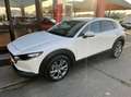 Mazda CX-30 2.0 m-hybrid Executive 2wd 122cv 6mt Weiß - thumbnail 1