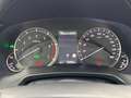 Lexus RX 450h RX Hybrid Executive Blu/Azzurro - thumbnail 13