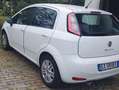 Fiat Punto Punto III 2012 5p 1.3 mjt II 16v Lounge eco s Bianco - thumbnail 5