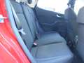 Ford Fiesta 5p 1.0 eco boost MILD-HIBRID TITANIUM 125cv Rouge - thumbnail 15