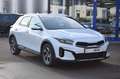 Kia XCeed 1.6 T-GDi 150 PS AUTOMATIK NAVI SHZ KAMERA Blanc - thumbnail 34