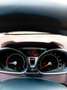 Ford Fiesta Fiesta 1.25 Titanium Rot - thumbnail 8