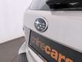 Subaru Forester 2.0 Diesel AWD Aut AHK SITZHZG R-CAM Weiß - thumbnail 11