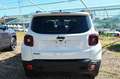 Jeep Renegade 1.3 T4 240cv PHEV 4xe AT6 North Star Bianco - thumbnail 5
