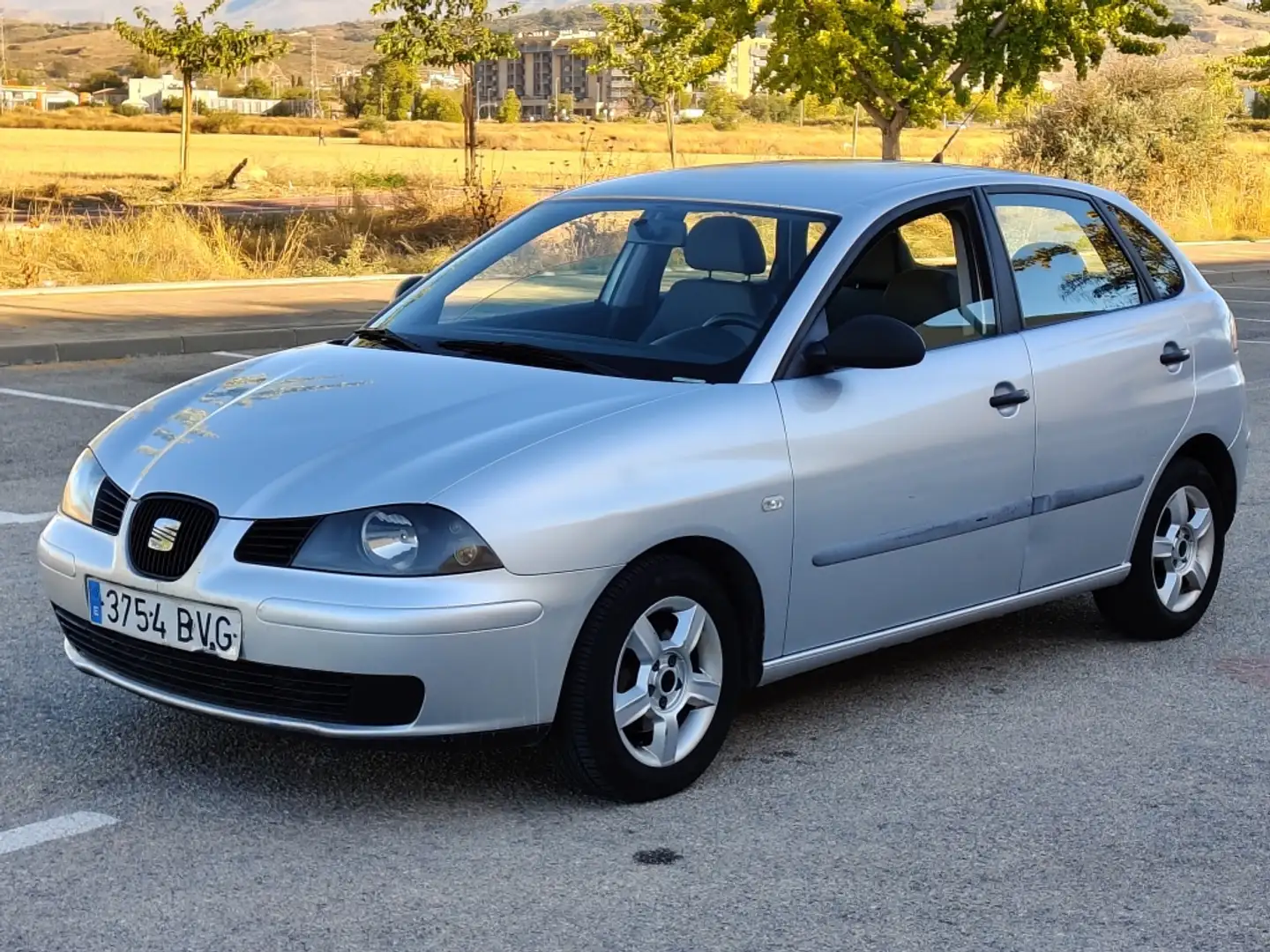 SEAT Ibiza 1.9 TDi Signa Gris - 1