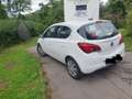 Opel Corsa Corsa 1.0 Edition Weiß - thumbnail 4
