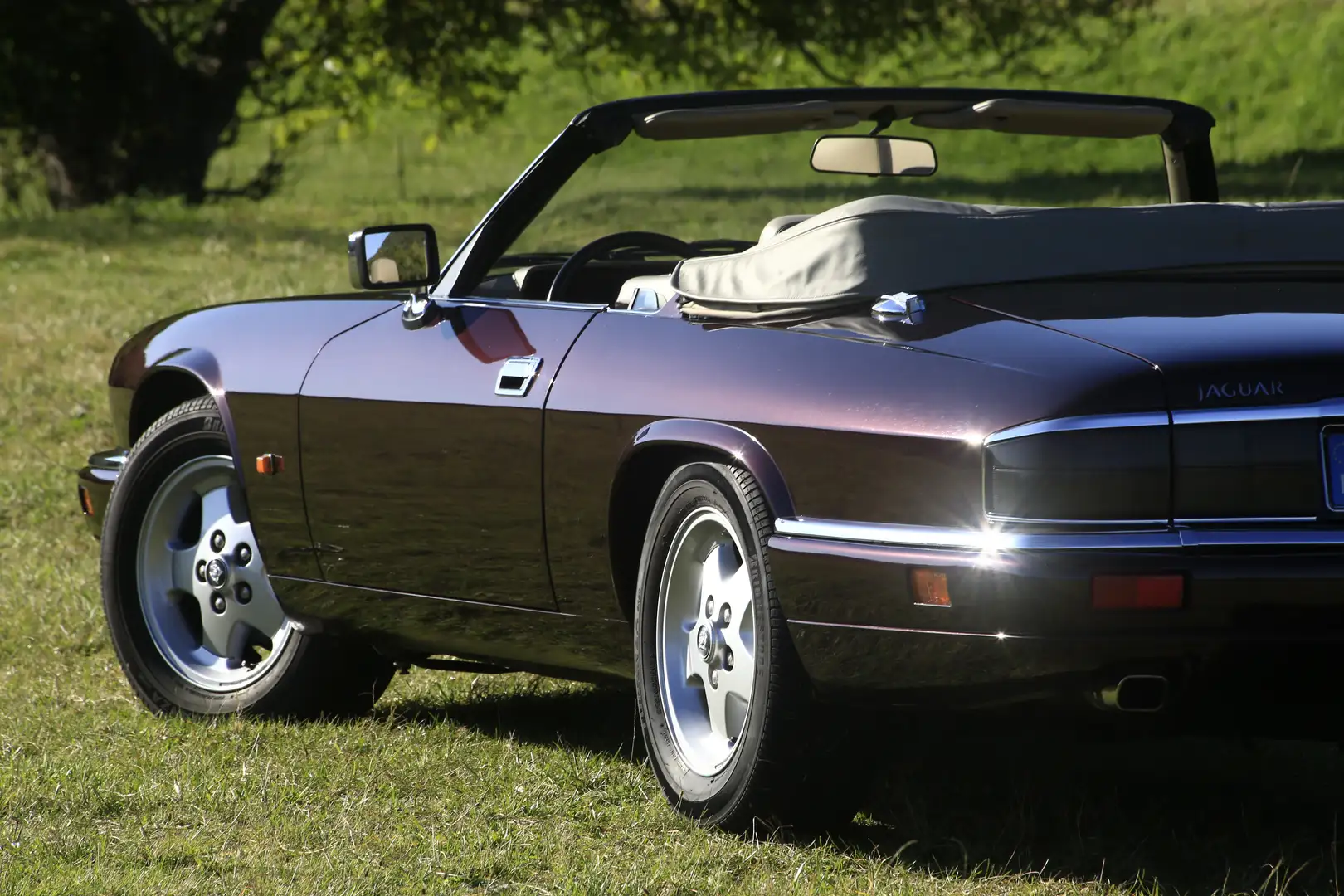 Jaguar XJSC Violett - 1