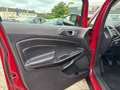 Ford EcoSport Titanium EU6d 1.0 Klimaautom DAB Ambientebeleuchtu Rood - thumbnail 13
