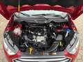 Ford EcoSport Titanium EU6d 1.0 Klimaautom DAB Ambientebeleuchtu Rood - thumbnail 14