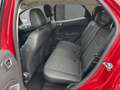 Ford EcoSport Titanium EU6d 1.0 Klimaautom DAB Ambientebeleuchtu Rood - thumbnail 9