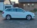 Skoda Fabia Combi Cool Plus*wenig km*8-fach Weiß - thumbnail 2