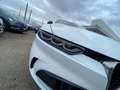 Alfa Romeo Tonale Tonale 1.6 Ti 130cv tct6 Weiß - thumbnail 22