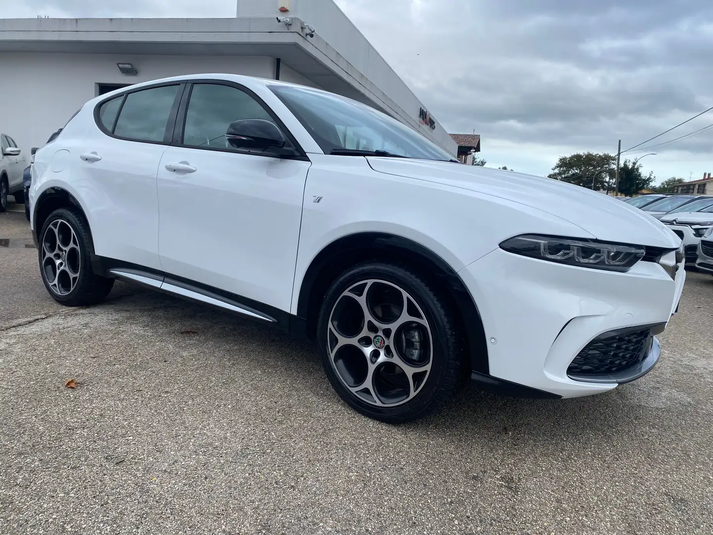 Alfa Romeo Tonale Tonale 1.6 Ti 130cv tct6 Blanc - 1