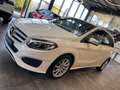 Mercedes-Benz B 250 B250 Aut. 4Matic *1.HAND*19%*LED*TEMPOMAT*SZHZ* Weiß - thumbnail 24