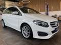 Mercedes-Benz B 250 B250 Aut. 4Matic *1.HAND*19%*LED*TEMPOMAT*SZHZ* Weiß - thumbnail 3