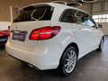Mercedes-Benz B 250 B250 Aut. 4Matic *1.HAND*19%*LED*TEMPOMAT*SZHZ* Weiß - thumbnail 4