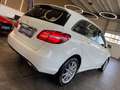 Mercedes-Benz B 250 B250 Aut. 4Matic *1.HAND*19%*LED*TEMPOMAT*SZHZ* Weiß - thumbnail 19