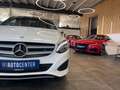 Mercedes-Benz B 250 B250 Aut. 4Matic *1.HAND*19%*LED*TEMPOMAT*SZHZ* Weiß - thumbnail 22
