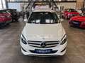 Mercedes-Benz B 250 B250 Aut. 4Matic *1.HAND*19%*LED*TEMPOMAT*SZHZ* Weiß - thumbnail 23