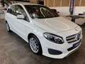 Mercedes-Benz B 250 B250 Aut. 4Matic *1.HAND*19%*LED*TEMPOMAT*SZHZ* Weiß - thumbnail 21