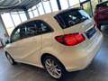 Mercedes-Benz B 250 B250 Aut. 4Matic *1.HAND*19%*LED*TEMPOMAT*SZHZ* Weiß - thumbnail 27