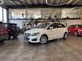 Mercedes-Benz B 250 B250 Aut. 4Matic *1.HAND*19%*LED*TEMPOMAT*SZHZ* Weiß - thumbnail 1