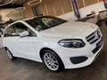 Mercedes-Benz B 250 B250 Aut. 4Matic *1.HAND*19%*LED*TEMPOMAT*SZHZ* Weiß - thumbnail 20