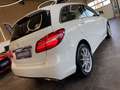 Mercedes-Benz B 250 B250 Aut. 4Matic *1.HAND*19%*LED*TEMPOMAT*SZHZ* Weiß - thumbnail 18